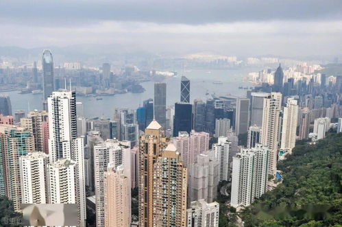 掌握以下几点,上海落户变简单 问题