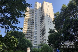 香山丽舍 公寓 优点 不足,香山丽舍 公寓 怎么样,香山丽舍 公寓 周边房产中介经纪人评价