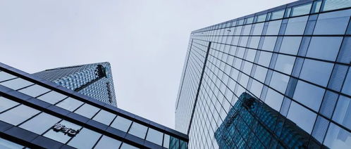 每日昱言 上海 开展对房地产估价机构检查
