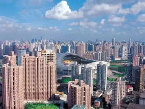 定了 上海这7个区被国家点名了,即将大爆发,未来发展不可限量