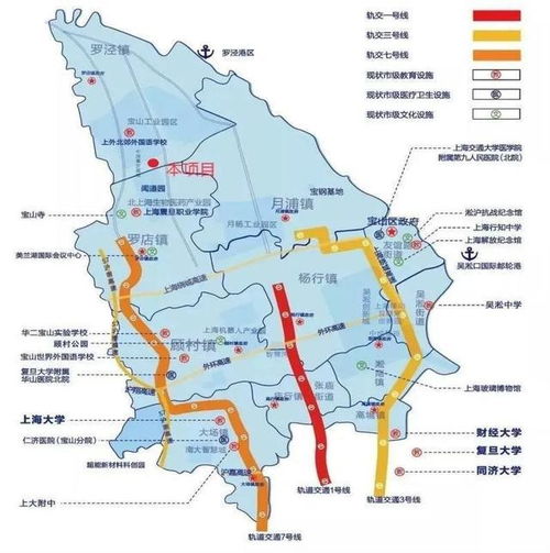 上海市宝山区潘泾路工业用地和厂房转让项目 推动产业升级与房地产开发新机遇